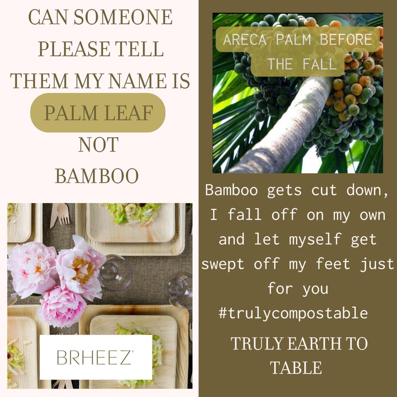 brheez Palm Leaf Plates 100 Ct (6 Inch) - Eco Friendly, Compostable & Biodegradable â€“ Elegant Bamboo Look Disposable Party Plates are Heavy Duty and More Environmentally Friendly than Paper Plates - Image 3